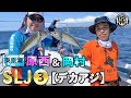 原西&岡村の東京湾SLJ③【デカアジ】