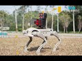 Applications of Robotic Dogs in Law Enforcement(The use cases from client)