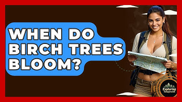 When Do Birch Trees Bloom? - Exploring Campgrounds