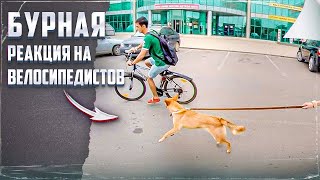 Атака на велосипедистов Атака на велосипедистов