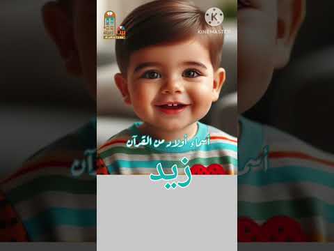 زيد أسماء أولاد من القرآن ومعانيها اكسبلور أسماء أولاد  