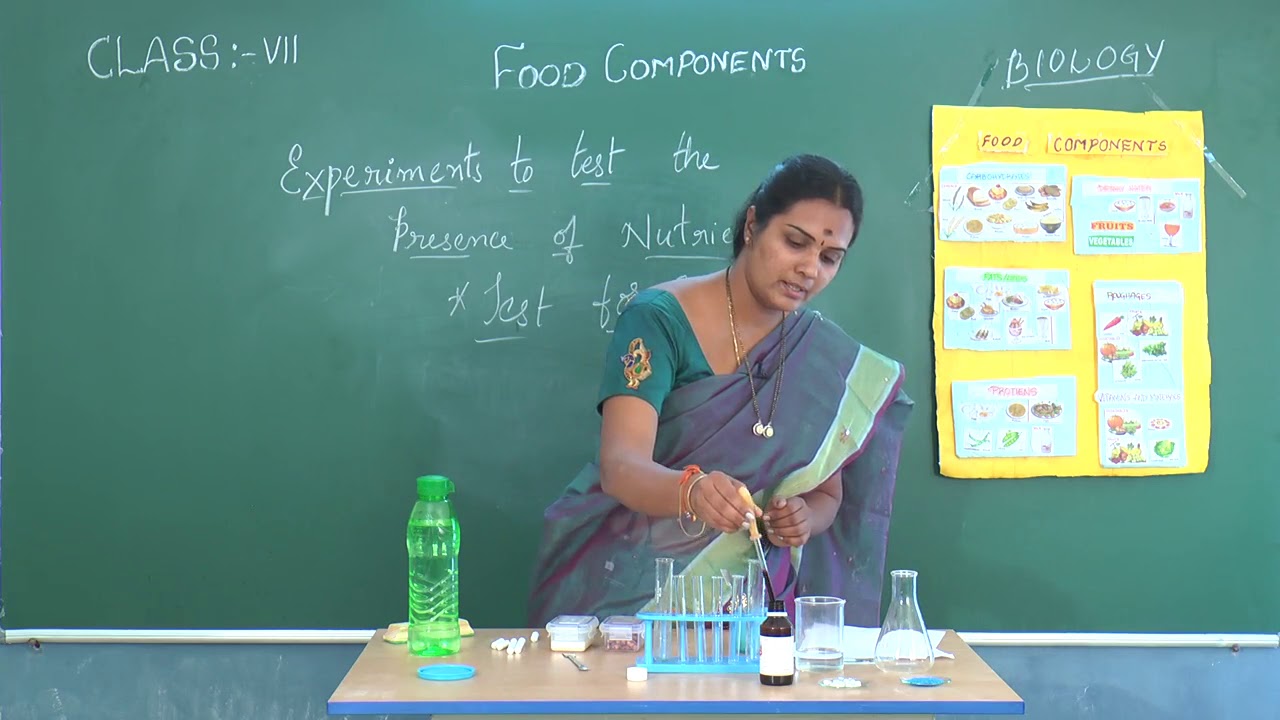 Scts 7th Class Biology 01 Food Components Food Components 00002 X264 004 Youtube