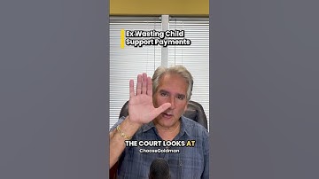 #MichiganChildSupportAttorney #MichiganChildSupport Ex Is Wasting Child Support Payments