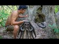 Primitive technology catching and cooking a lot of snake in the forest