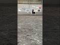 Jeg fik et shok til sidst fordi der var en de er glemte at sige hun kom ind😅 #equestrian #pony