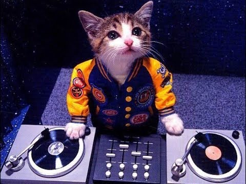 DJ Sega Evolozik