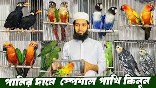 টিয়া, ময়না, ককাটেল, লাভবার্ড ও স্পেশাল কিছু কনুর পাখিতে স্পেশাল অফার।