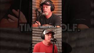 Timberwolf vs Silverback Gorilla. How many Wolves would it take to bring down an Alpha male Gorilla?