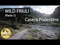 Wild Friuli [Day 1 - 2 ] - Casera Podestine e Caserata [Trekking Italia Dolomiti]