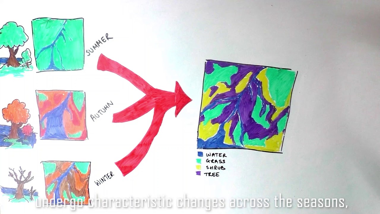 Combining optical and radar satellite image time series to map natural ...