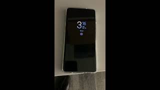 S10 notification light (camera cutout)