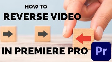 How to reverse a video in premiere pro (Quick Guide)