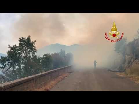 incendio bosco Vallecupa
