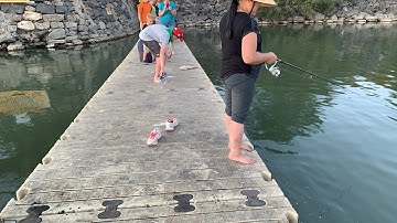 Câu cá perch ở Đập thủy điện