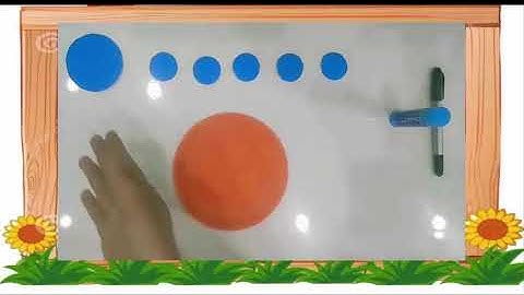 Tạo hình Làm Con Rùa Từ Đĩa Giấy