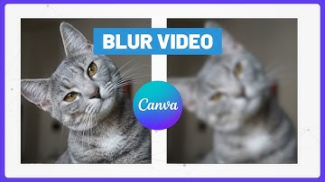 How to Blur a Video in Canva (2 Easy Methods Tutorial)