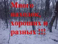 Много находок хороших и разных!!!