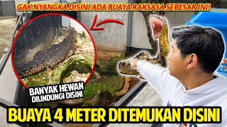 GAK NYANGKA ADA BUAYA RAKSASA 4 METER LEBIH DI TEMPAT INI!! GREBEK TAMAN REPTIL TMII! #PART2