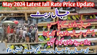 May 2024 Latest Jall Rate Price Update | Jaal rate | یہی حال رہا تو جال ریٹ کبھی بہتر نہیں ہوگا