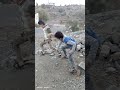 مسلسل الاراده 