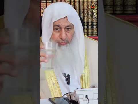 حكم بيع وشراء القطط المنزلية الشيخ مصطفى العدوي غزة