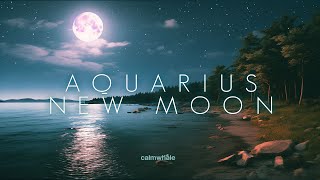 Aquarius Super New Moon :: Coming Home to Yourself ::🌙 Moon Music February 2024