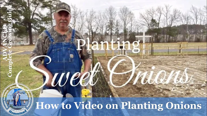 How to Video on Planting Onions