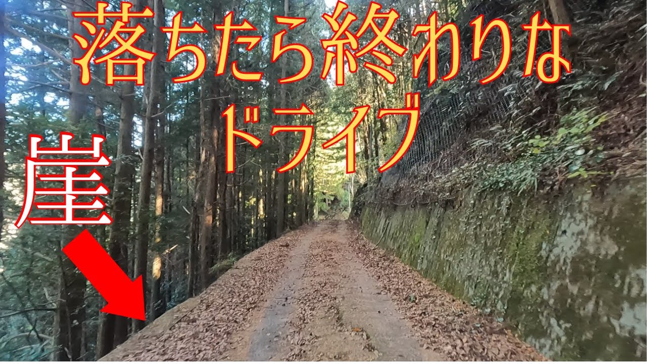 JR飯田線沿いの道がヤバい…落ちたらアウト！【飯田線　長野県天龍村】