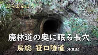 廃林道の奥に眠る長穴／ぶら 房総 笹口隧道（千葉県）