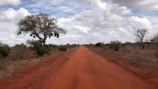 This is the famous land that makes elephants red - Tsavo East National Park - Kenya - Africa