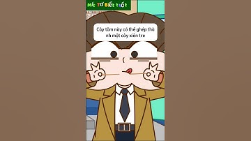 Kiểm Tra Ăn Vặt Trong Lớp Học Phần 1/2