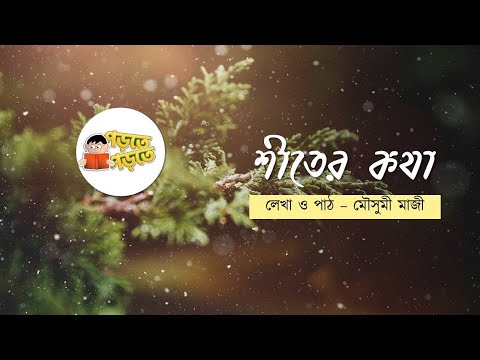 ভিডিও: শীতের বন কেমন লাগে