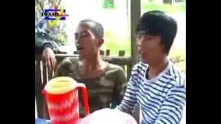Ulat Bulu