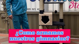 ¿Como armamos nuestros gimnasios para gatos ?