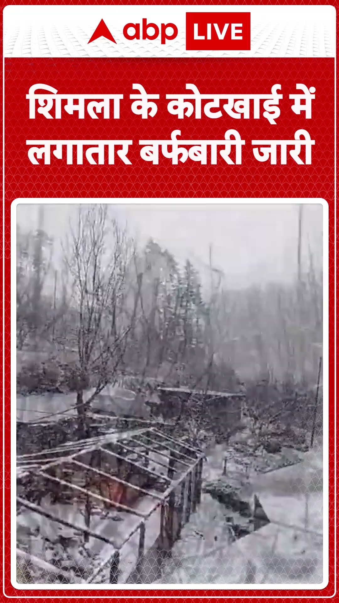 Shimla Weather News: शिमला के कोटखाई में लगातार बर्फबारी जारी |ABP LIVE | ABP LIVE | SHORTS