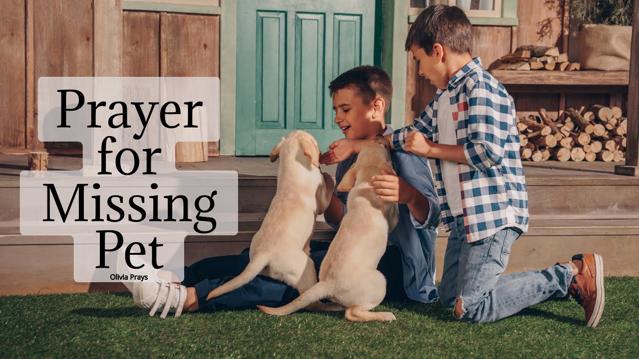 Prayer for Missing Pet - We Ask for your Protection Over Our Missing Pet