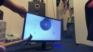 Double Acer Monitor Smash