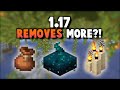 1.17 Just Removed MORE Features!?