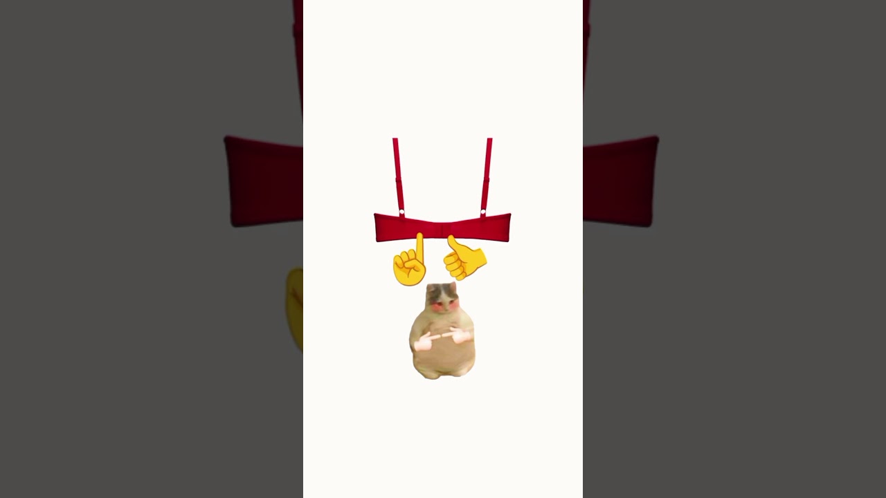 Как открыть бюстгальтер одной рукой: объяснение с помощью кошек.