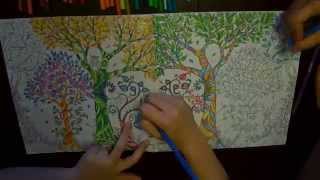 Enchanted Forest - A Colouring Book Time-lapse