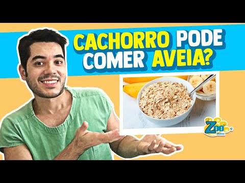 Como Preparar Aveia Para Cachorro