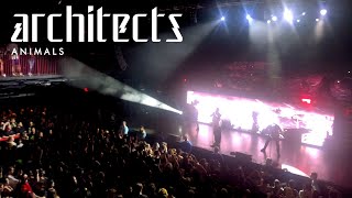 Architects | Animals (LIVE @ House of Blues Boston 2024)