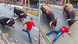 12 Most BRUTAL ANIMAL ATTACKS | If These 12 Zoo Moments Were Not Filmed | No One Would Believe It