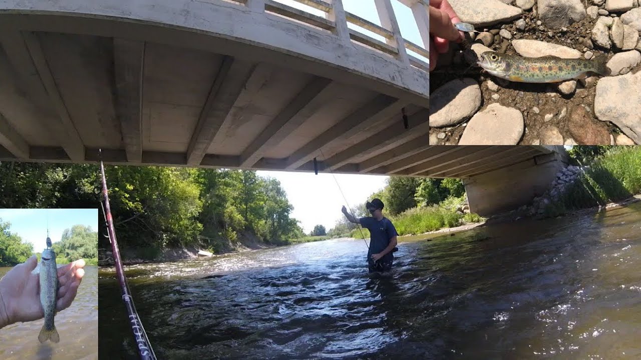 Insane Credit River Trout Fishing (Toronto Fishing) - YouTube