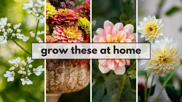 cut flowers for arrangements... these are easy to ...