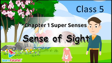 Class 5 EVS Chapter 1 Super Senses - Sense of Sight - LearnFatafat