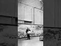 Monet’s last painting #art