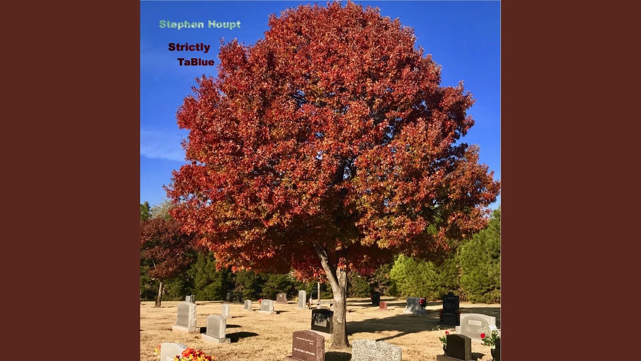 Fried Hockey Boogie YouTube