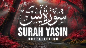 Surah Yasin (Yaseen) سورة يس | Beautiful Voice Heart Touching Quran | Quraner Jibon