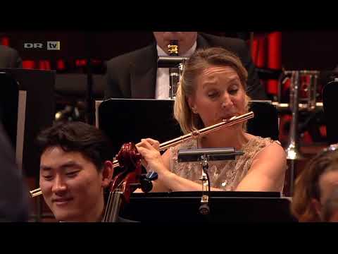 ROSSINI - William Tell Overture - Flute Solo (Miilmann)